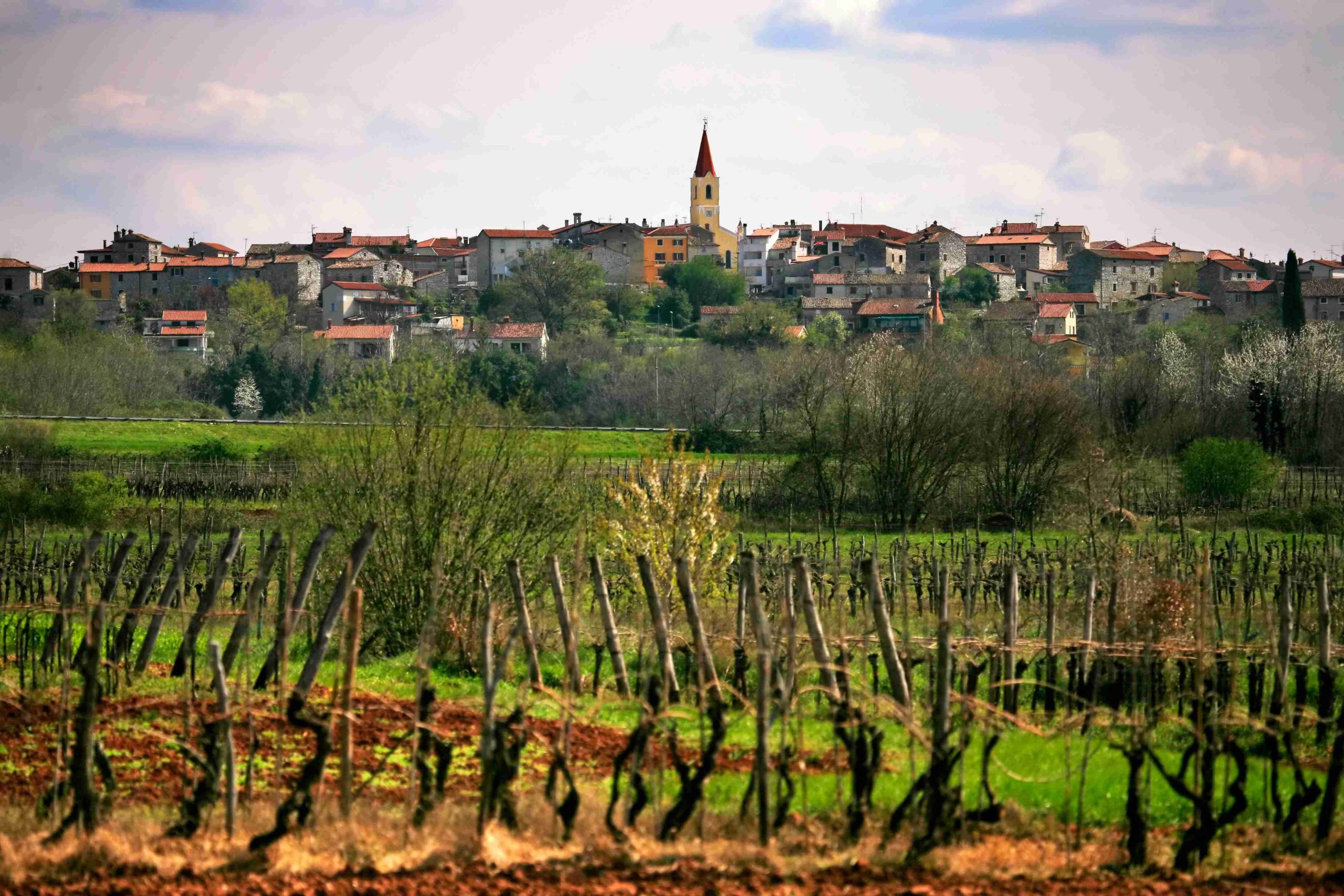 Brtonigla